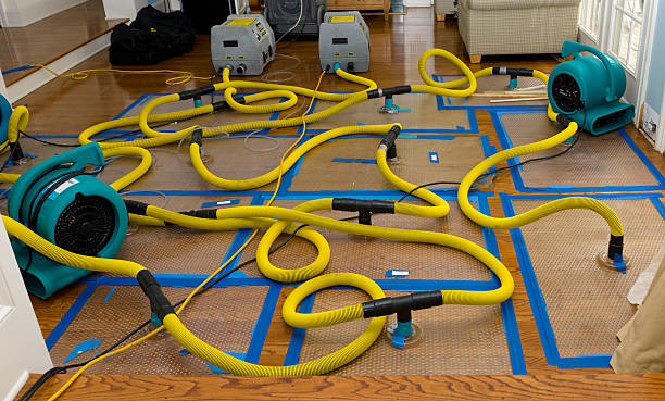 Professional Emergency Water Removal technician working in Litchfield, IL